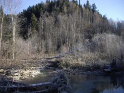 post-7090-0-59618100-1350440818_thumb.jp