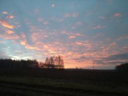 post-7121-0-02107400-1350612854_thumb.jp