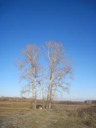 post-7597-0-13627000-1351348826_thumb.jp