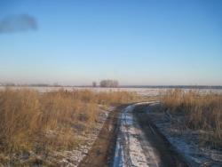 post-7597-0-88740500-1351349484_thumb.jp