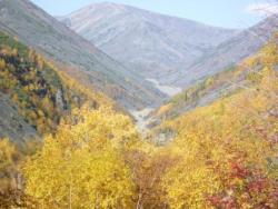 post-8387-0-61748100-1350306689_thumb.jp