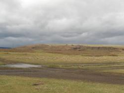 post-8666-0-08413200-1350901491_thumb.jp