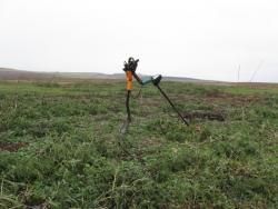 post-8666-0-24097500-1350300826_thumb.jp