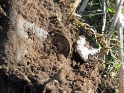 post-8666-0-45114600-1351610312_thumb.jp