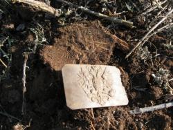 post-8666-0-85069400-1351610623_thumb.jp