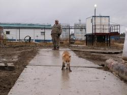 post-8942-0-40789200-1350444240_thumb.jp