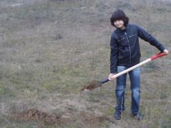 post-11338-0-79471700-1382886453_thumb.j