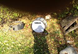 post-13262-0-04182600-1382838465_thumb.j