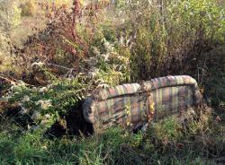 post-13262-0-87865200-1382838346_thumb.j