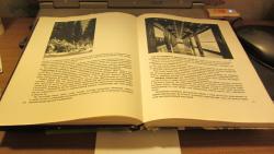 post-16248-0-87102500-1382885300_thumb.j