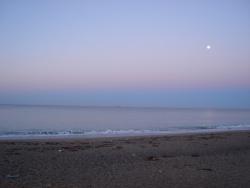 post-17309-0-54742000-1382440589_thumb.j