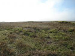 post-17309-0-73883400-1382440570_thumb.j