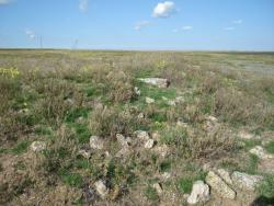 post-17309-0-90828100-1382440581_thumb.j