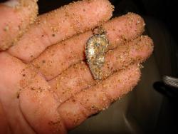 post-17309-0-92993600-1382440606_thumb.j