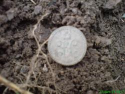 post-17557-0-55529000-1381868257_thumb.j