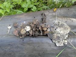 post-17691-0-10712600-1380631161_thumb.j