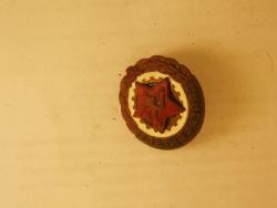 post-1996-0-88883200-1380735949_thumb.jp