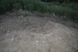 post-22801-0-24347600-1381344886_thumb.j