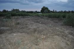 post-22801-0-57215000-1381344636_thumb.j