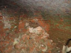 post-26681-0-49782600-1383027897_thumb.j