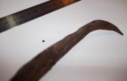 post-26744-0-14543200-1382553128_thumb.j