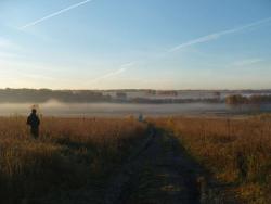 post-27127-0-03345200-1380633390_thumb.j