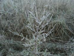 post-27127-0-28835500-1381066439_thumb.j