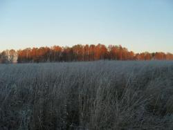 post-27127-0-42861500-1381066987_thumb.j