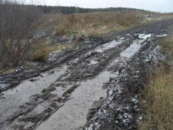 post-27127-0-74173300-1381754444_thumb.j