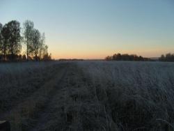 post-27127-0-94069000-1381066439_thumb.j