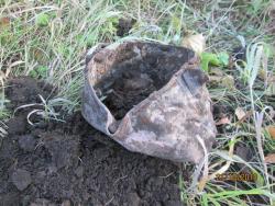 post-27143-0-71390100-1382583876_thumb.j