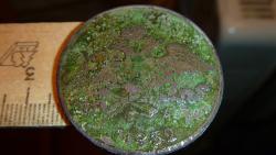 post-27393-0-21700500-1381429412_thumb.j