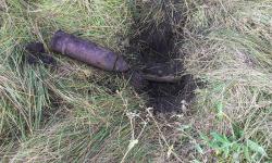 post-28928-0-94434100-1380815365_thumb.j