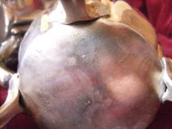 post-29063-0-48304300-1381217529_thumb.j