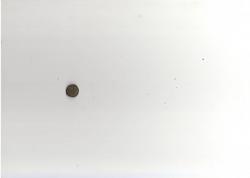 post-29263-0-76868200-1382679018_thumb.j