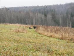 post-3295-0-82598500-1382951451_thumb.jp