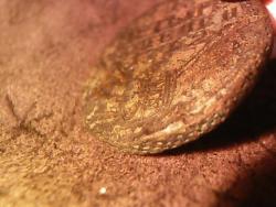 post-4269-0-19769800-1381416892_thumb.jp