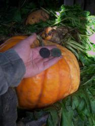 post-4269-0-65903600-1381415747_thumb.jp