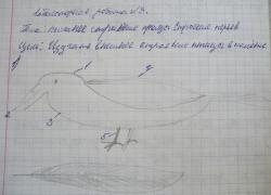 post-4485-0-80607600-1380727289_thumb.jp