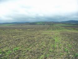 post-4489-0-24844300-1382017416_thumb.jp