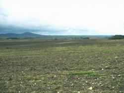 post-4489-0-32492300-1382019695_thumb.jp