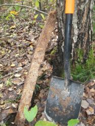 post-4998-0-90682800-1380812325_thumb.jp