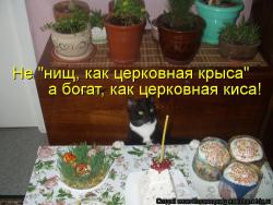 post-5029-0-90466900-1381144073_thumb.jp