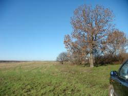 post-5088-0-69677600-1382296846_thumb.jp