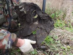 post-5580-0-51100700-1382119614_thumb.jp