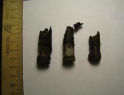 post-6465-0-03969600-1381997030_thumb.jp