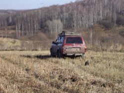 post-7090-0-09979900-1382279483_thumb.jp