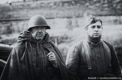 post-9320-0-32637300-1382550769_thumb.jp