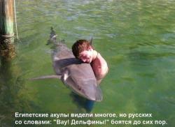 post-10547-0-95114000-1414644393_thumb.j