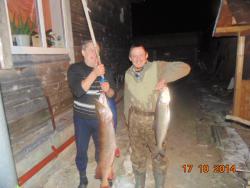 post-11523-0-74400100-1413599091_thumb.j